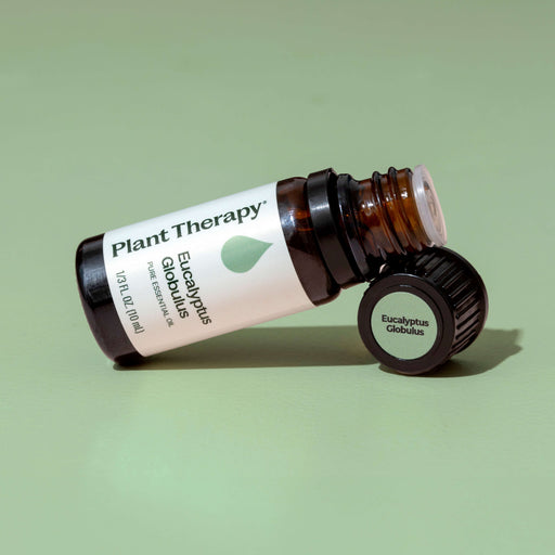 Plant Therapy Eucalyptus Globulus Essential Oil Essential Oil Dark Sea Green 10 mL,30 mL,100 mL