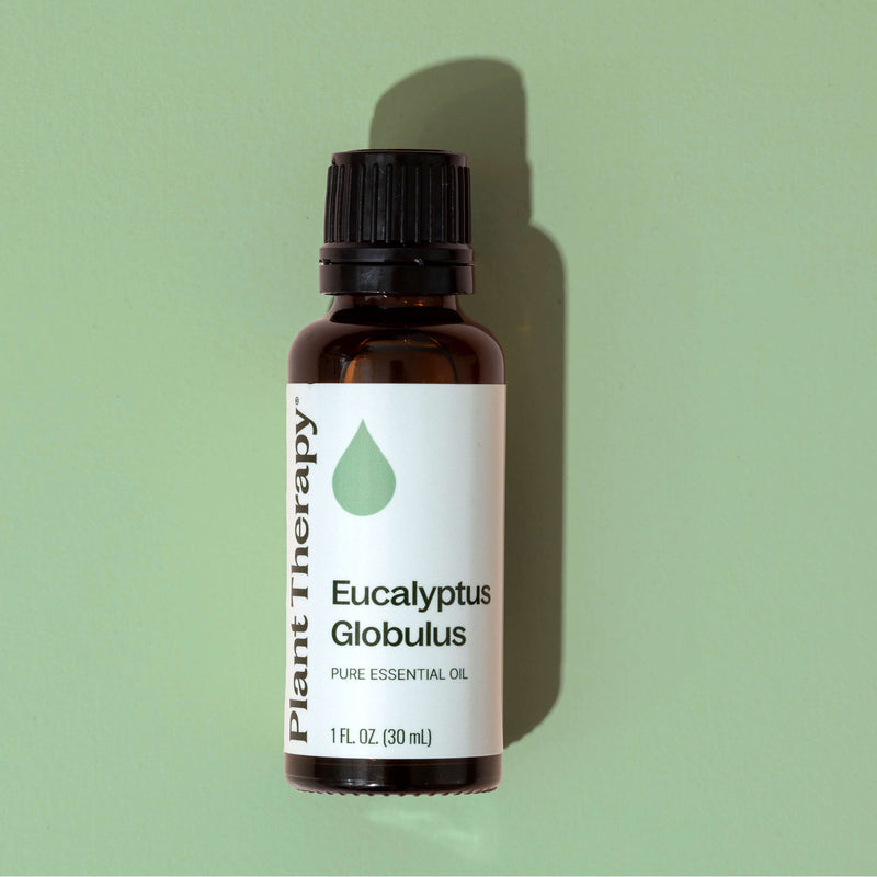 Plant Therapy Eucalyptus Globulus Essential Oil Essential Oil Dark Sea Green 10 mL,30 mL,100 mL