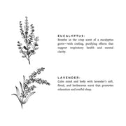 Slow North Eucalyptus + Lavender - Signature Soy Candle Frosted Candles White Smoke