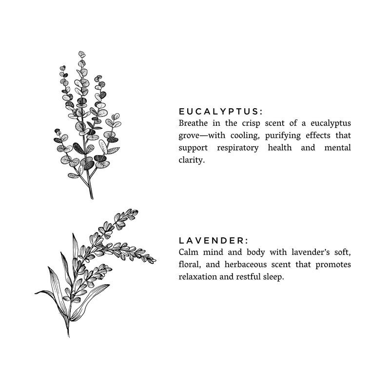 Slow North Eucalyptus + Lavender - Signature Soy Candle Frosted Candles White Smoke