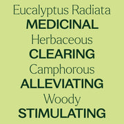 Plant Therapy Eucalyptus Radiata Essential Oil Essential Oil Khaki 10 mL,30 mL,100 mL
