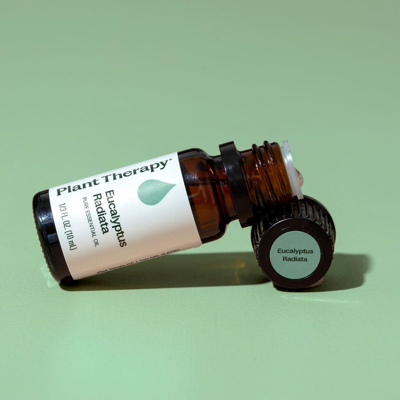 Plant Therapy Eucalyptus Radiata Essential Oil Essential Oil Dark Gray 10 mL,30 mL,100 mL