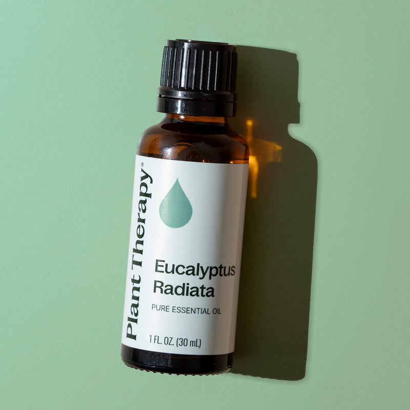 Plant Therapy Eucalyptus Radiata Essential Oil Essential Oil Dark Sea Green 10 mL,30 mL,100 mL