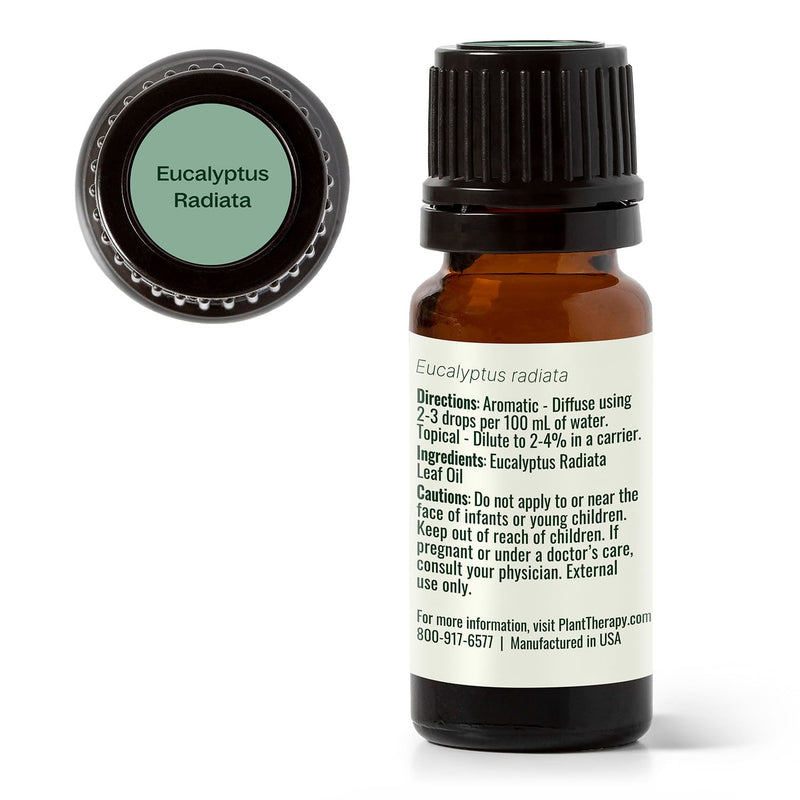 Plant Therapy Eucalyptus Radiata Essential Oil Essential Oil White Smoke 10 mL,30 mL,100 mL
