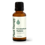 Plant Therapy Eucalyptus Radiata Essential Oil Essential Oil White Smoke 30 mL