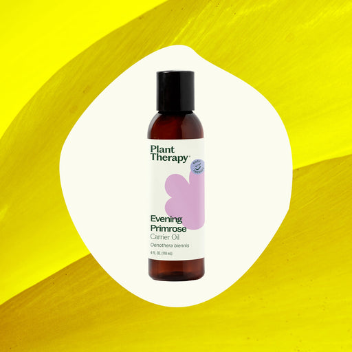 Plant Therapy Evening Primrose Carrier Oil Body Care Seashell 4 oz