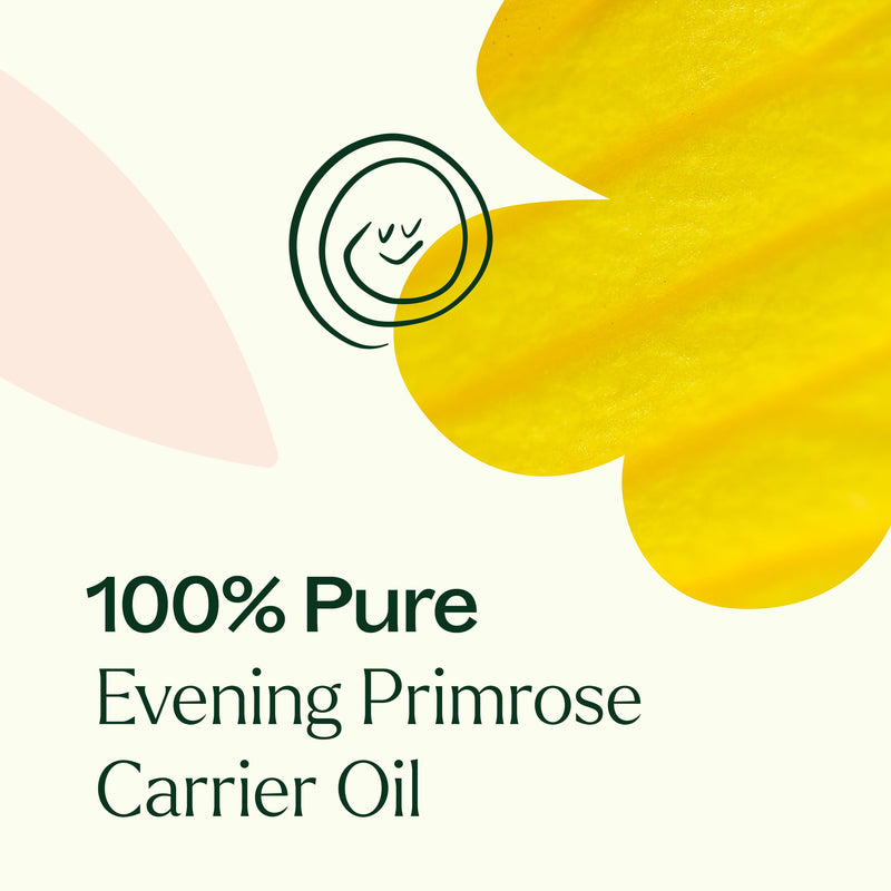 Plant Therapy Evening Primrose Carrier Oil Body Care Seashell 4 oz
