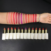 EpiLynx Vegan Matte Lipstick – Hydrating, Long-Wear, Magnetic Case lipstick Dark Slate Gray 3,5,7,10,11,13
