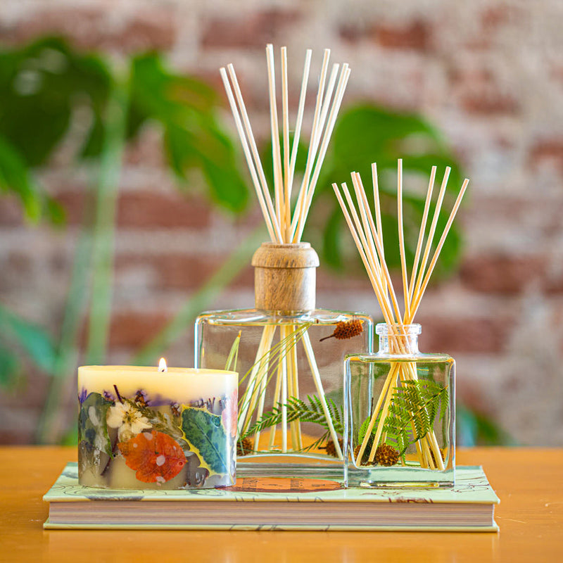 Rosy Rings Accent Botanical Reed Diffuser - Forest 4oz Botanical Diffuser Dark Gray