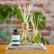 Rosy Rings Accent Botanical Reed Diffuser - Forest 4oz Botanical Diffuser Dark Gray