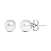Bids.com 14k White Gold 5-5.5MM  Cultured Freshwater Pearl Solitaire Stud Earrings Earrings White Smoke White.Gold / 5.0-5.5mm,White.Gold / 4.0-4.5mm,White.Gold / 4.5-5.0mm,White.Gold / 5.5-6.0mm,White.Gold / 6.0-6.5mm,White.Gold / 6.5-7.0mm,White.Gold / 7.0-7.5mm,White.Gold / 7.5-8.0mm,White.Gold / 8.0-8.5mm,White.Gold / 8.5-9.0mm