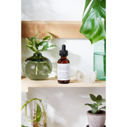 Butter Me Up Organics Organic Face & Eye Serum / Organic Facial Oil / Anti-Aging Serum / Organic Facial Serum / Natural Face Oil Butter Me Up Organics / Face Light Gray