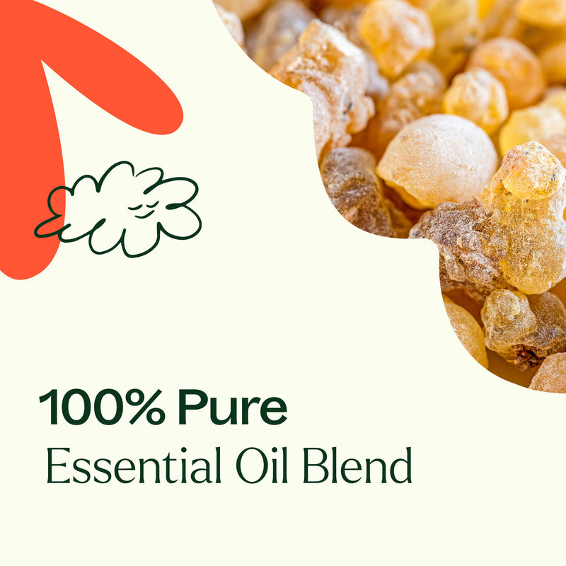 Plant Therapy Fantastic Franks™ Essential Oil Blend Essential Oil Seashell 10 mL,30 mL