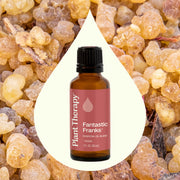 Plant Therapy Fantastic Franks™ Essential Oil Blend Essential Oil Seashell 10 mL,30 mL