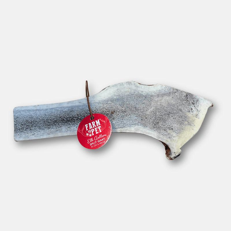 Farm To Pet Elk Antler Dog Chews | All-Natural Whole and Split Elk Antler Chews for Dogs Antler Dog Chew White Smoke Split / Giant (35+ LBS)