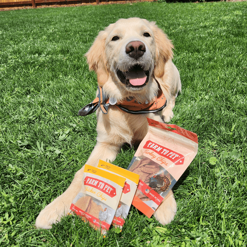 Farm To Pet Puppy Packs 'n Snacks Dog Treat Starter Pack | Single-Ingredient Training Treats Bundle Dark Olive Green Chicken 4oz + 1 Beef & 1 Turkey & 1 Fish Snack Pack,Turkey 4oz + 1 Beef & 1 Chicken & 1 Fish Snack Pack,Beef 4oz + 1 Chicken & 1 Turkey & 1 Fish Snack Pack,Fish 4oz + 1 Beef & 1 Turkey & 1 Chicken Snack Pack