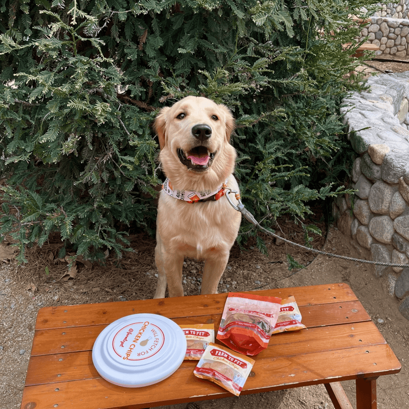 Farm To Pet Will Fetch for Chicken Chips Dog Frisbee | Fun Toy for Dogs and Humans Frisbee Dark Slate Gray
