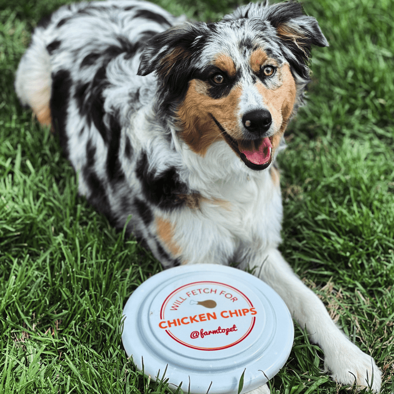 Farm To Pet Will Fetch for Chicken Chips Dog Frisbee | Fun Toy for Dogs and Humans Frisbee Dark Slate Gray