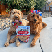 Farm To Pet Americana Chicken Chips for Dogs | Celebrate with USA-made Dog Treats Chip Light Gray Standard 4oz,Value 12oz