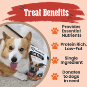 Farm To Pet Live Like Roo Turkey Chips for Dogs | Dog Treats That Give Back Chip Bisque Single Pack ($2 Donation),Six Pack ($15 Donation!)
