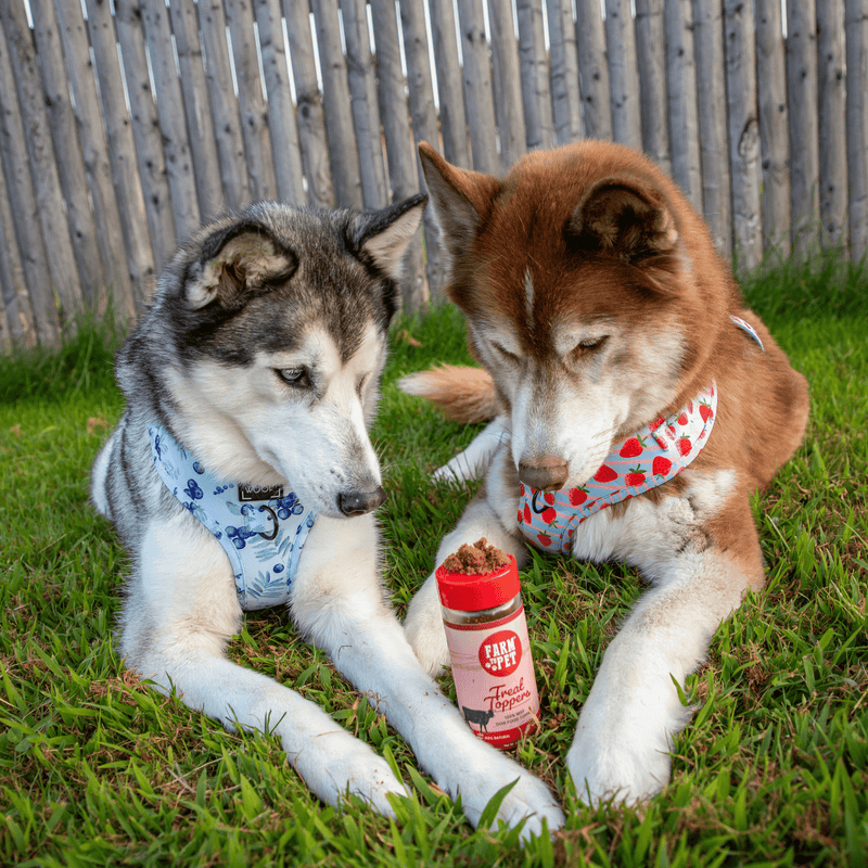 Farm To Pet Treat Topper Beef Dog Food Topper | Powdered Meal Topper for Pets Topper Dim Gray