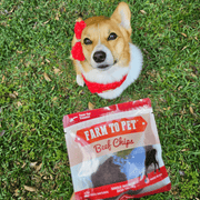 Farm To Pet Beef Chips Snack Pack Bundles | Dog Treats for Training & Travel Snack Pack Dark Olive Green 6 Pack,12 Pack,24 Pack