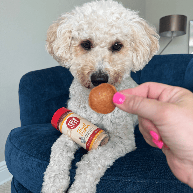 Farm To Pet Treat Topper Chicken Dog Food Topper | Healthy Meal Supplement for Dogs Topper Gray