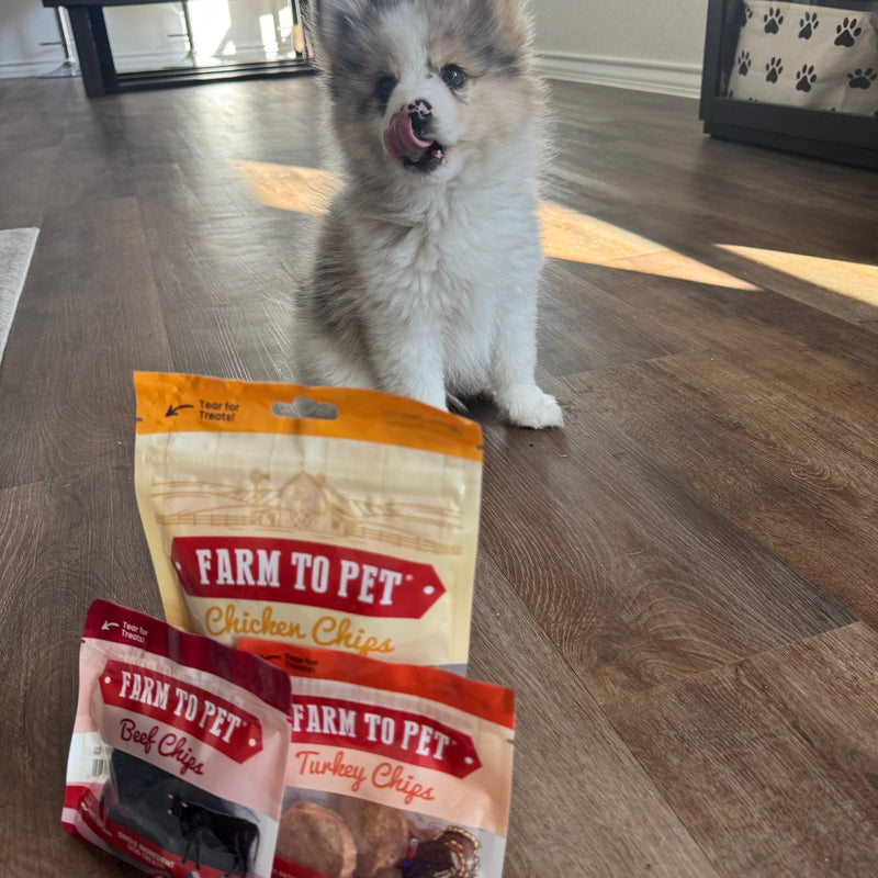 Farm To Pet Puppy Packs 'n Snacks Dog Treat Starter Pack | Single-Ingredient Training Treats Bundle Dark Olive Green Chicken 4oz + 1 Beef & 1 Turkey & 1 Fish Snack Pack,Turkey 4oz + 1 Beef & 1 Chicken & 1 Fish Snack Pack,Beef 4oz + 1 Chicken & 1 Turkey & 1 Fish Snack Pack,Fish 4oz + 1 Beef & 1 Turkey & 1 Chicken Snack Pack