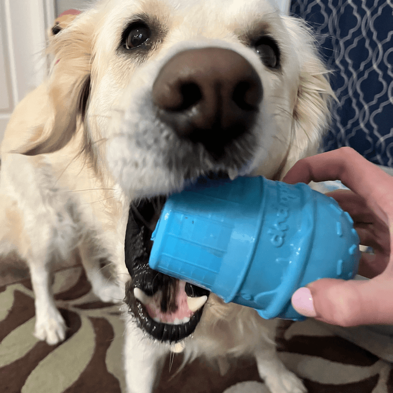 Farm To Pet Dog Treat Dispensers Treat Dispenser Light Gray Brown Football,Black Skull,Blue Ice Cream,Glow-In-The-Dark Ball,Glow-In-The-Dark Bone,Orange Flower Pot