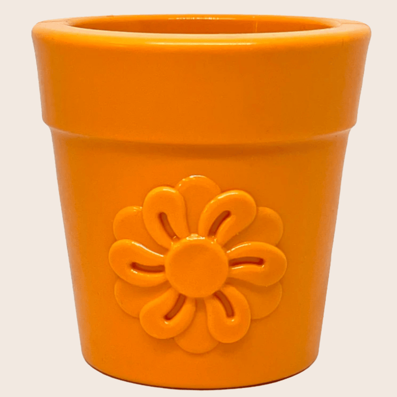 Farm To Pet Dog Treat Dispensers Treat Dispenser Chocolate Orange Flower Pot