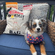 Farm To Pet Farm To Pet Tote Bag | Paw-some Gift for Animal Lovers Tote Dark Slate Gray Doggy Bag