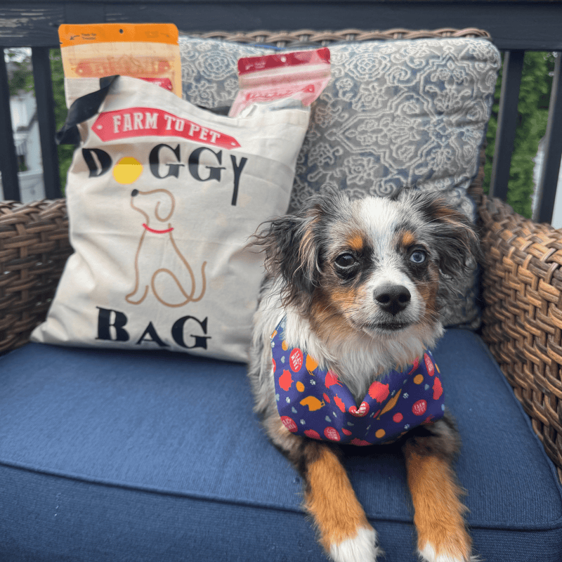 Farm To Pet Farm To Pet Tote Bag | Paw-some Gift for Animal Lovers Tote Dark Slate Gray Doggy Bag