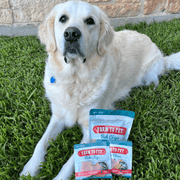 Farm To Pet Fish Chips Snack Pack Bundles | Dog Treats for Training & Travel Snack Pack Gray 6 Pack,12 Pack,24 Pack