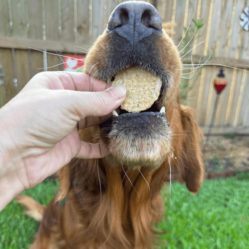 Farm To Pet Fish Chips Snack Pack Bundles | Dog Treats for Training & Travel Snack Pack Dark Sea Green 6 Pack,12 Pack,24 Pack