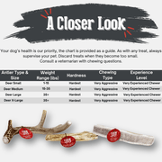 Farm To Pet Deer Antler Dog Chews | Organic Chews for Dogs Antler Dog Chew White Smoke Medium (15-35 LBS),Large (35+ LBS),X-Large (35+ LBS),Giant (35+ LBS)