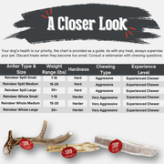 Farm To Pet Reindeer Antler Dog Chews | Organic Chews for Dogs Antler Dog Chew White Smoke Whole / Small (1-15 LBS),Whole / Medium (15-35 LBS),Whole / Large (35+ LBS),Split / Small (1-15 LBS),Split / Medium (15-35 LBS),Split / Large (35+ LBS)
