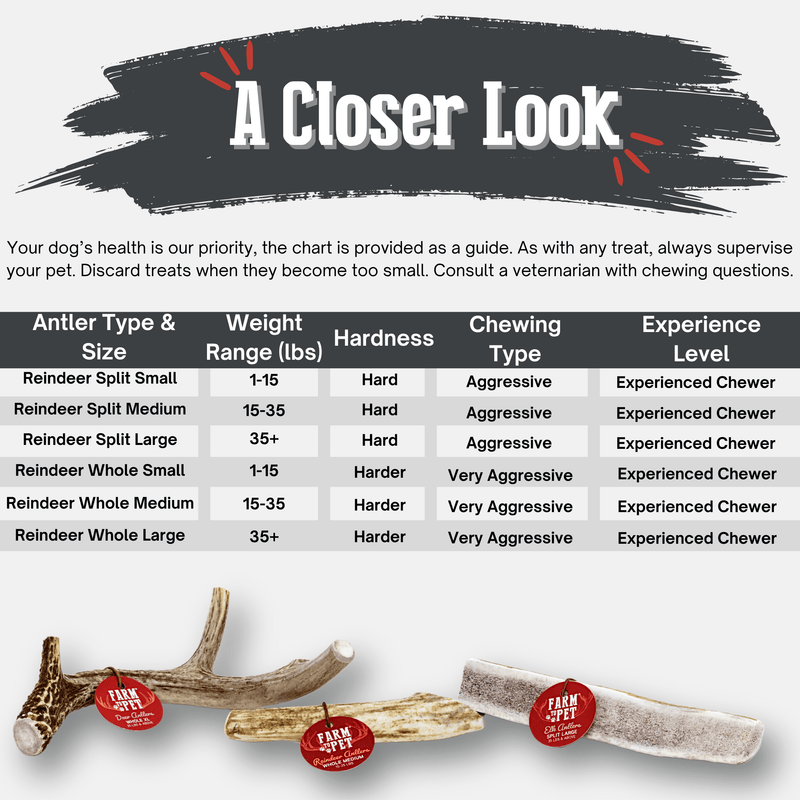 Farm To Pet Reindeer Antler Dog Chews | Organic Chews for Dogs Antler Dog Chew White Smoke Whole / Small (1-15 LBS),Whole / Medium (15-35 LBS),Whole / Large (35+ LBS),Split / Small (1-15 LBS),Split / Medium (15-35 LBS),Split / Large (35+ LBS)