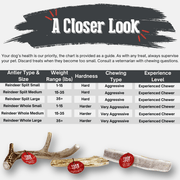 Farm To Pet Reindeer Antler Dog Chews | Organic Chews for Dogs Antler Dog Chew White Smoke Whole / Small (1-15 LBS),Whole / Medium (15-35 LBS),Whole / Large (35+ LBS),Split / Small (1-15 LBS),Split / Medium (15-35 LBS),Split / Large (35+ LBS)