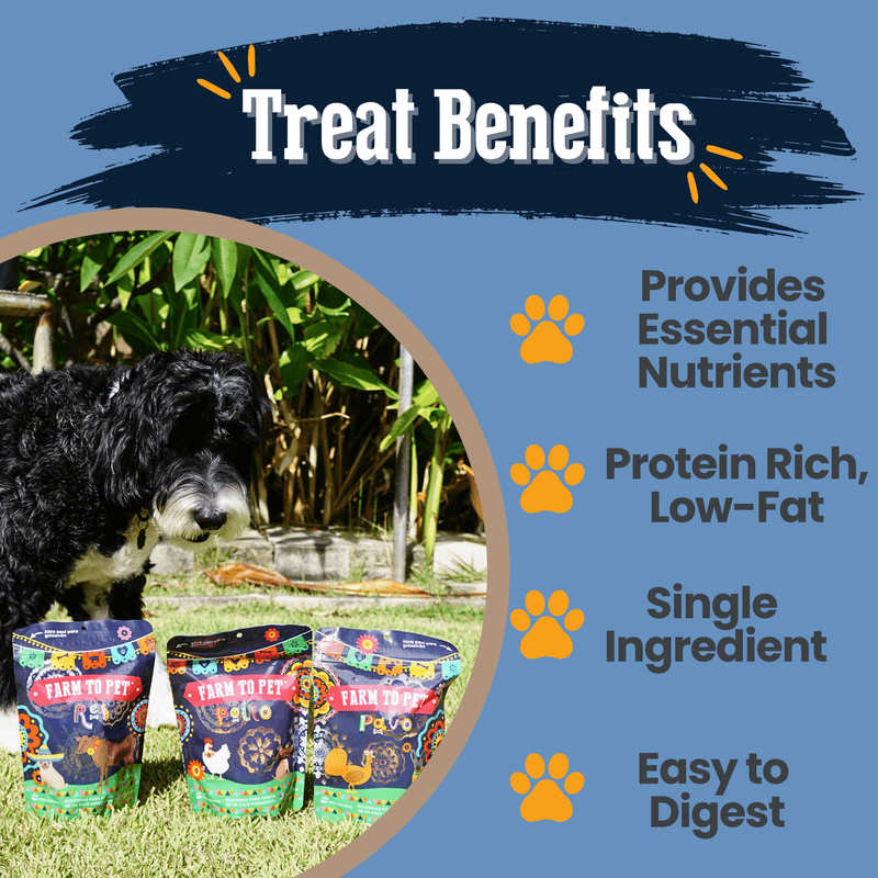 Farm To Pet Premios Para Perros Fiesta Pack | Dog Treat Variety Bundle Chip Cadet Blue