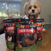 Farm To Pet Premios Para Perros Fiesta Pack | Dog Treat Variety Bundle Chip Dim Gray