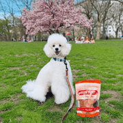 Farm To Pet Turkey Chips for Dogs | All-Natural Single-Ingredient Healthy Dog Treats Chip Olive Drab Standard 4oz,Value 12oz