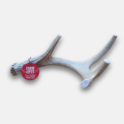 Farm To Pet Deer Antler Dog Chews | Organic Chews for Dogs Antler Dog Chew White Smoke Giant (35+ LBS)