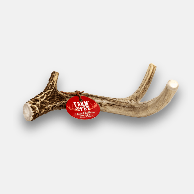 Farm To Pet Deer Antler Dog Chews | Organic Chews for Dogs Antler Dog Chew White Smoke X-Large (35+ LBS)
