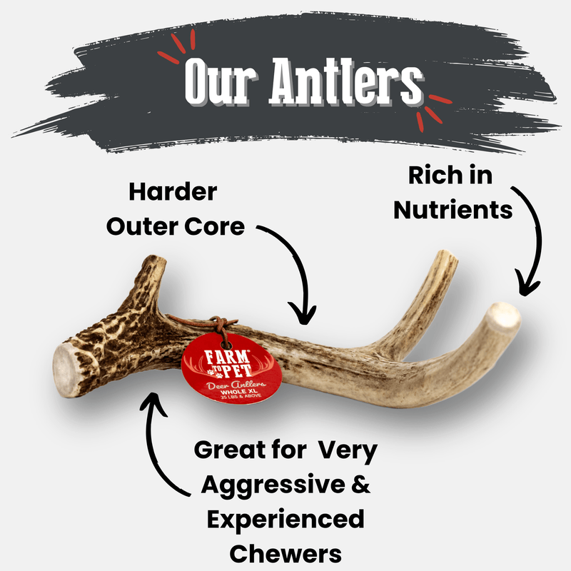 Farm To Pet Deer Antler Dog Chews | Organic Chews for Dogs Antler Dog Chew White Smoke Medium (15-35 LBS),Large (35+ LBS),X-Large (35+ LBS),Giant (35+ LBS)
