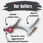Farm To Pet Deer Antler Dog Chews | Organic Chews for Dogs Antler Dog Chew White Smoke Medium (15-35 LBS),Large (35+ LBS),X-Large (35+ LBS),Giant (35+ LBS)