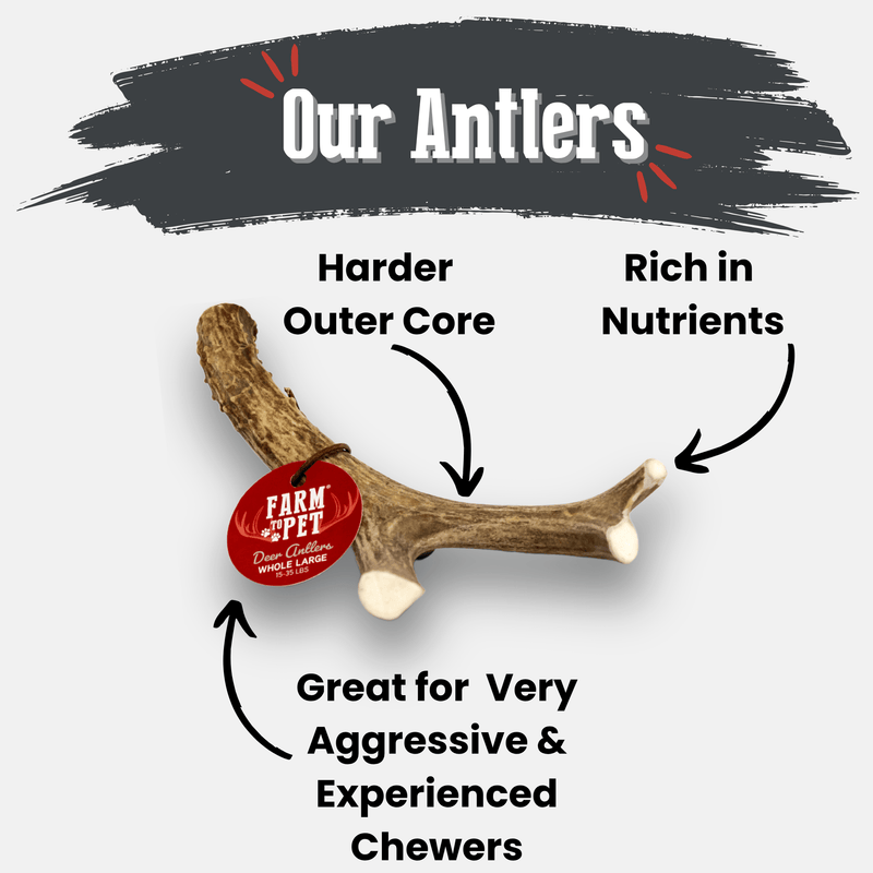 Farm To Pet Deer Antler Dog Chews | Organic Chews for Dogs Antler Dog Chew White Smoke Medium (15-35 LBS),Large (35+ LBS),X-Large (35+ LBS),Giant (35+ LBS)