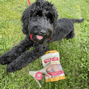 Farm To Pet Deer Antler Dog Chews | Organic Chews for Dogs Antler Dog Chew Dark Slate Gray Medium (15-35 LBS),Large (35+ LBS),X-Large (35+ LBS),Giant (35+ LBS)