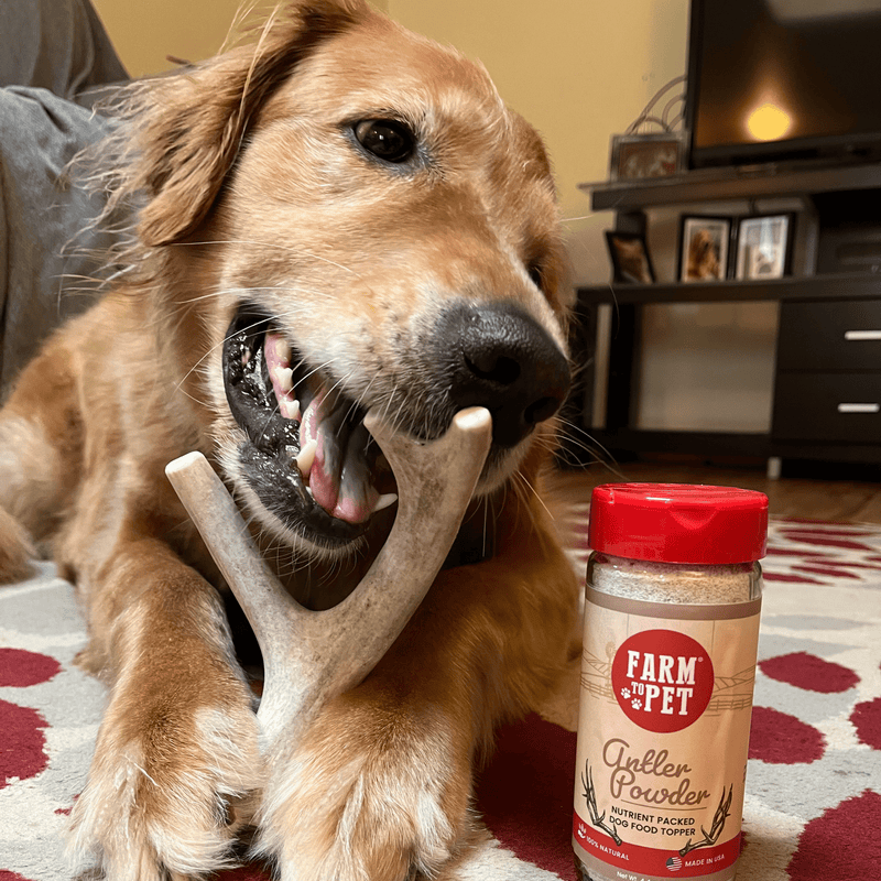 Farm To Pet Deer Antler Dog Chews | Organic Chews for Dogs Antler Dog Chew Dark Khaki Medium (15-35 LBS),Large (35+ LBS),X-Large (35+ LBS),Giant (35+ LBS)