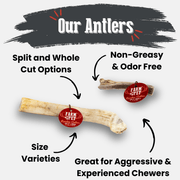 Farm To Pet Reindeer Antler Dog Chews | Organic Chews for Dogs Antler Dog Chew White Smoke Whole / Small (1-15 LBS),Whole / Medium (15-35 LBS),Whole / Large (35+ LBS),Split / Small (1-15 LBS),Split / Medium (15-35 LBS),Split / Large (35+ LBS)