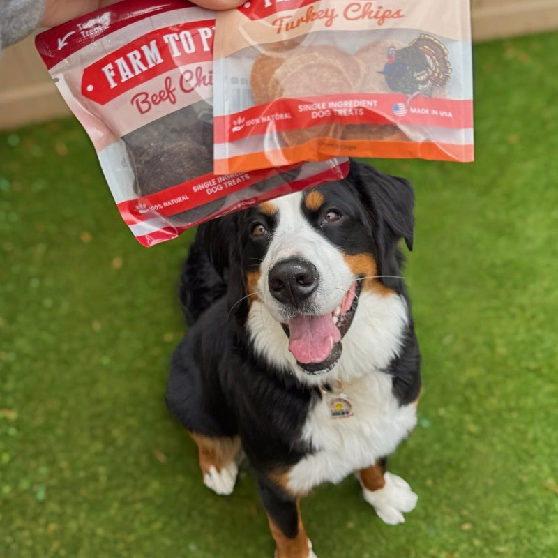 Farm To Pet Puppy Packs 'n Snacks Dog Treat Starter Pack | Single-Ingredient Training Treats Bundle Dark Olive Green Chicken 4oz + 1 Beef & 1 Turkey & 1 Fish Snack Pack,Turkey 4oz + 1 Beef & 1 Chicken & 1 Fish Snack Pack,Beef 4oz + 1 Chicken & 1 Turkey & 1 Fish Snack Pack,Fish 4oz + 1 Beef & 1 Turkey & 1 Chicken Snack Pack